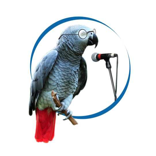 Freedom Radio Dutse Logo